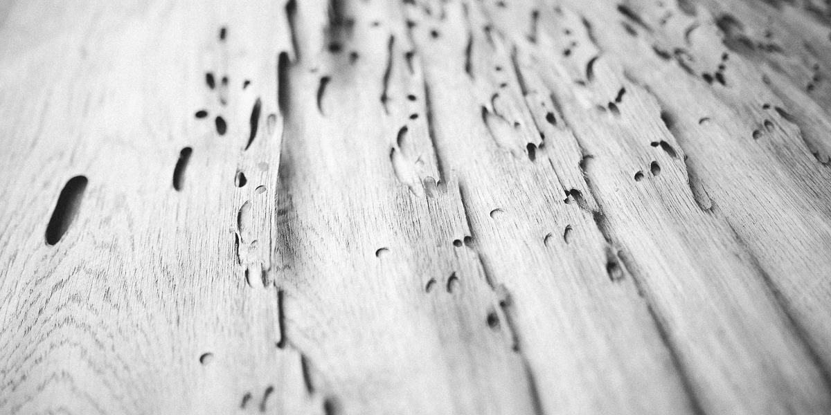 zoom su legno